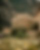 A building at Montserrat with flowers in the foreground