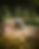 Old man sitting at the Kirstenbosch park