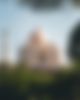 A photo of the Taj Mahal with a tree in the foreground